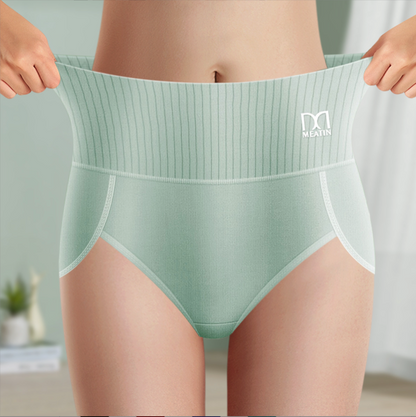 Women's Seamless High Waist Shaping Briefs 6 Pack