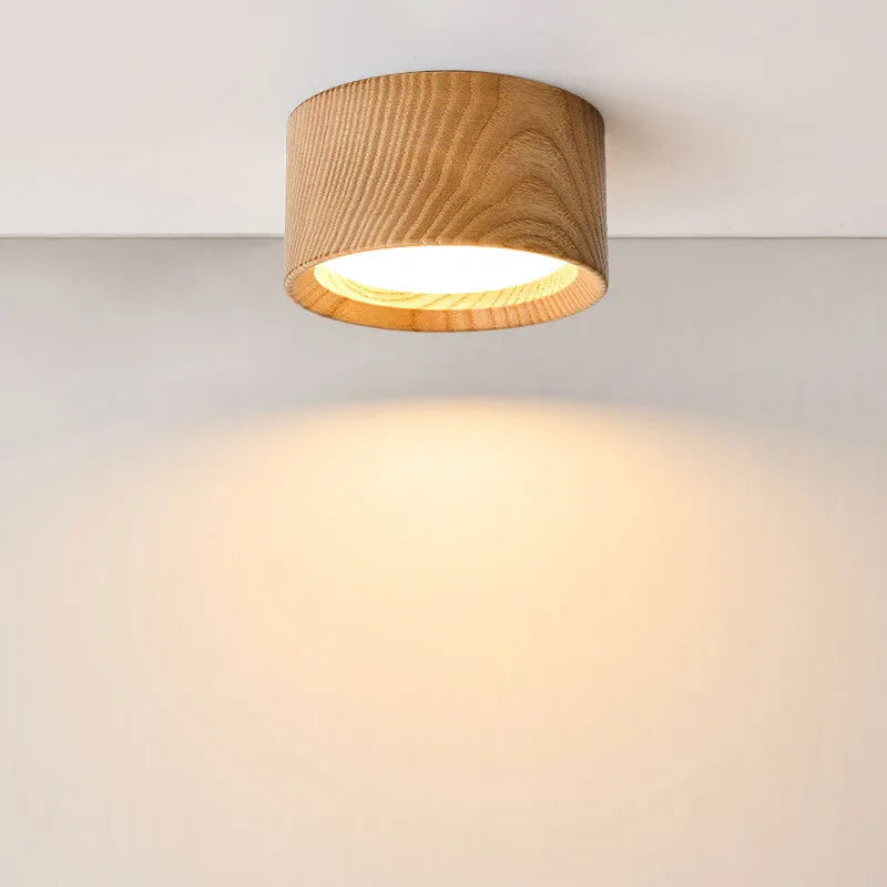 Modern Flush Mount Ceiling Light Fixture - Vonnera