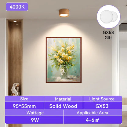 Modern Flush Mount Ceiling Light Fixture