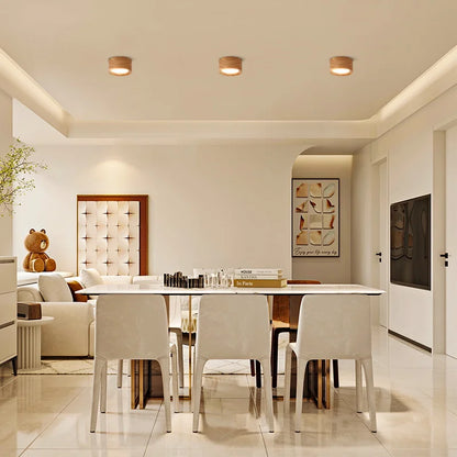 Modern Flush Mount Ceiling Light Fixture