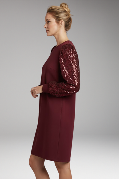 Women's Glitter Sleeve Casual Dress Relaxed Fit