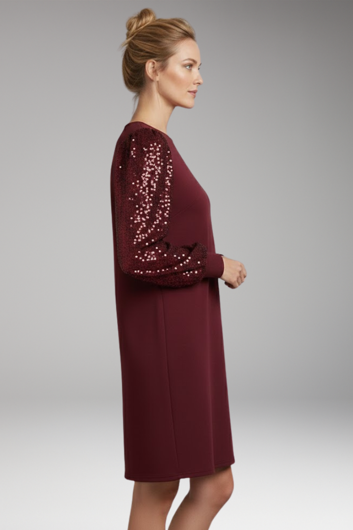 Women's Glitter Sleeve Casual Dress Relaxed Fit