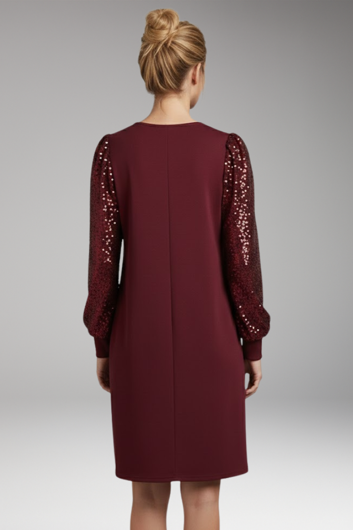 Women's Glitter Sleeve Casual Dress Relaxed Fit