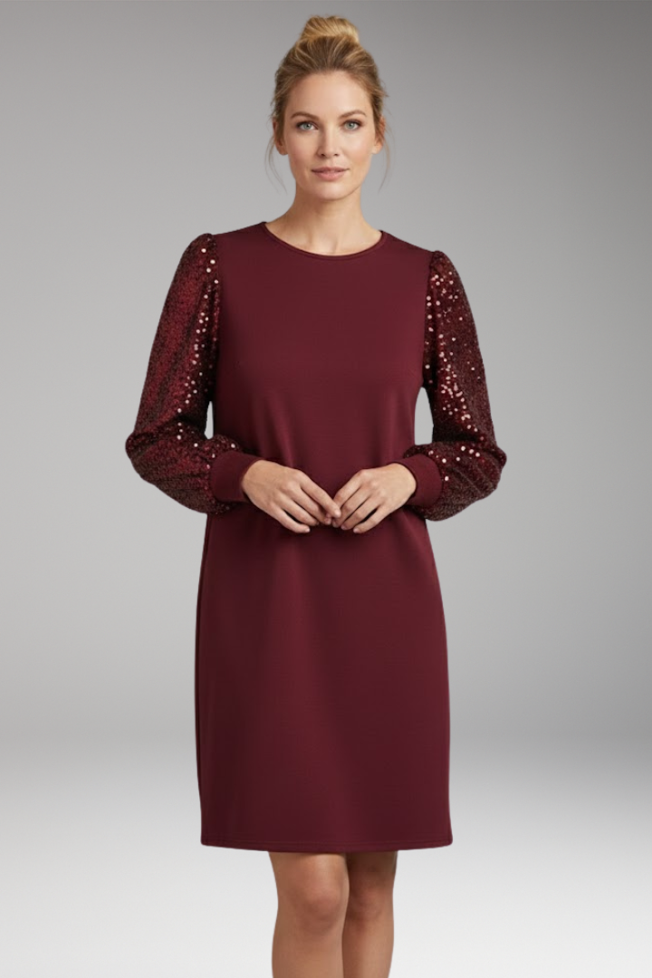 Women's Glitter Sleeve Casual Dress Relaxed Fit