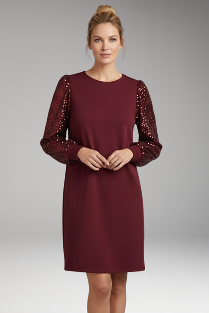 Women's Glitter Sleeve Casual Dress Relaxed Fit