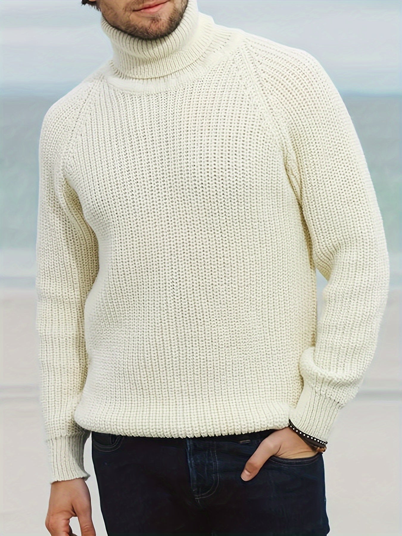 Men's Turtleneck Knit Sweater Autumn Winter