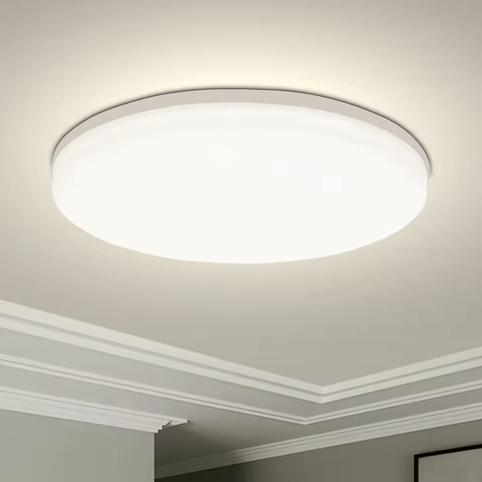 Vonnera Modern Indoor Ceiling Light Fixture