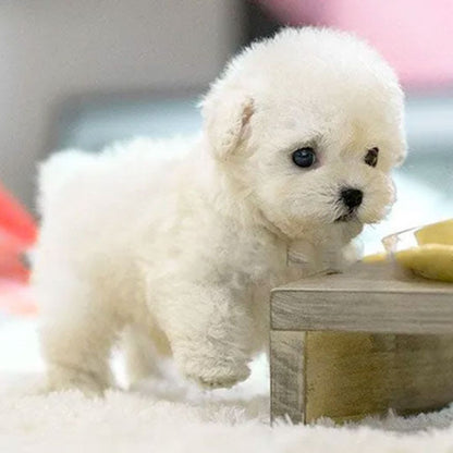 Puppy Interactive Toy Realistic Movement