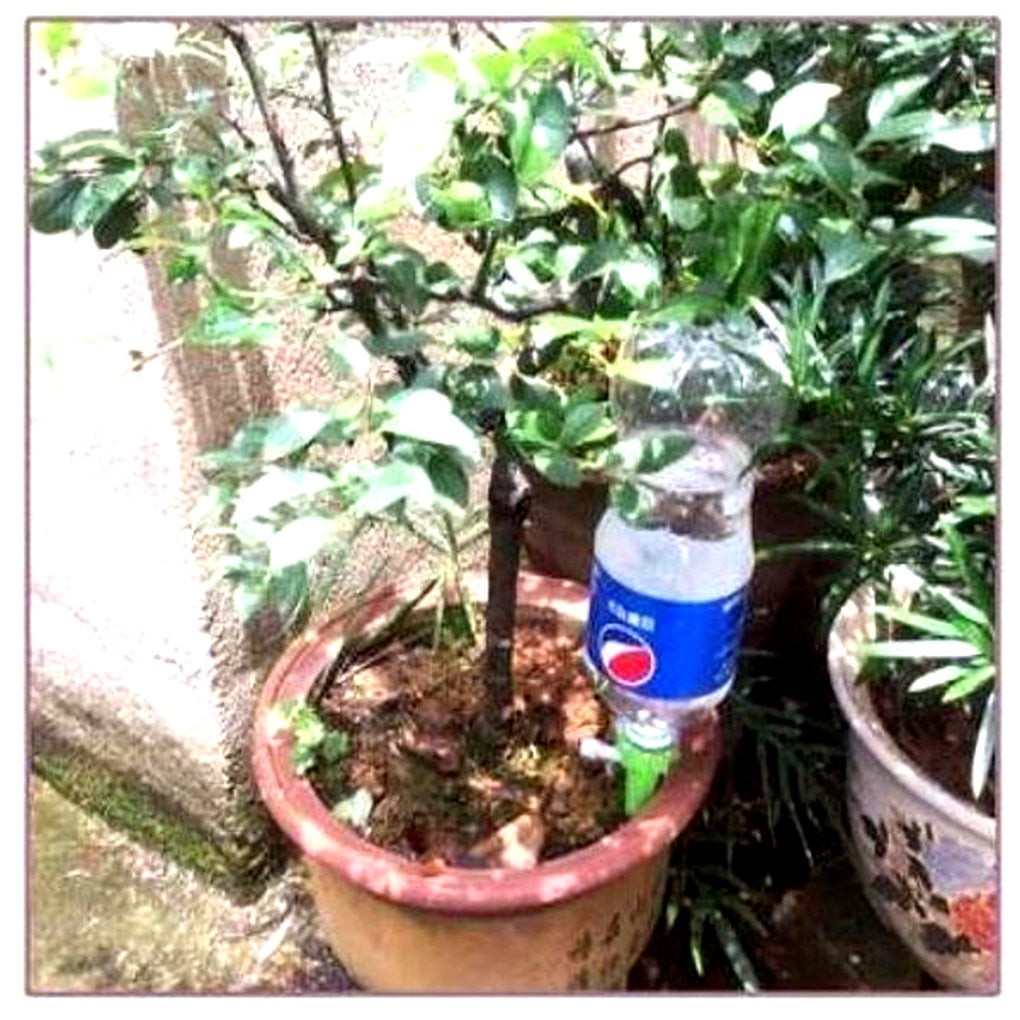 Automatic Plant Watering Spikes Adjustable Garden Watering Aid