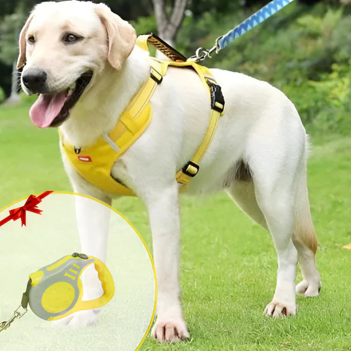 Dog Harness Adjustable Comfort Fit Enhanced Control - Vonnera