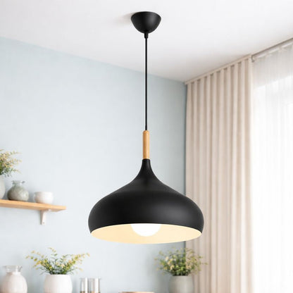 Modern Hanging Light Fixture