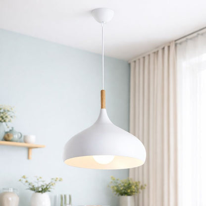 Modern Hanging Light Fixture