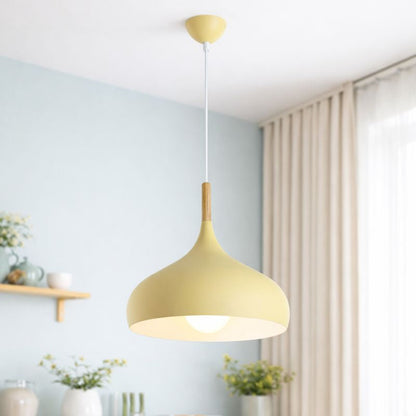 Modern Hanging Light Fixture
