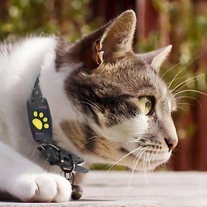 Pawguard Gps Cat Tracker Device
